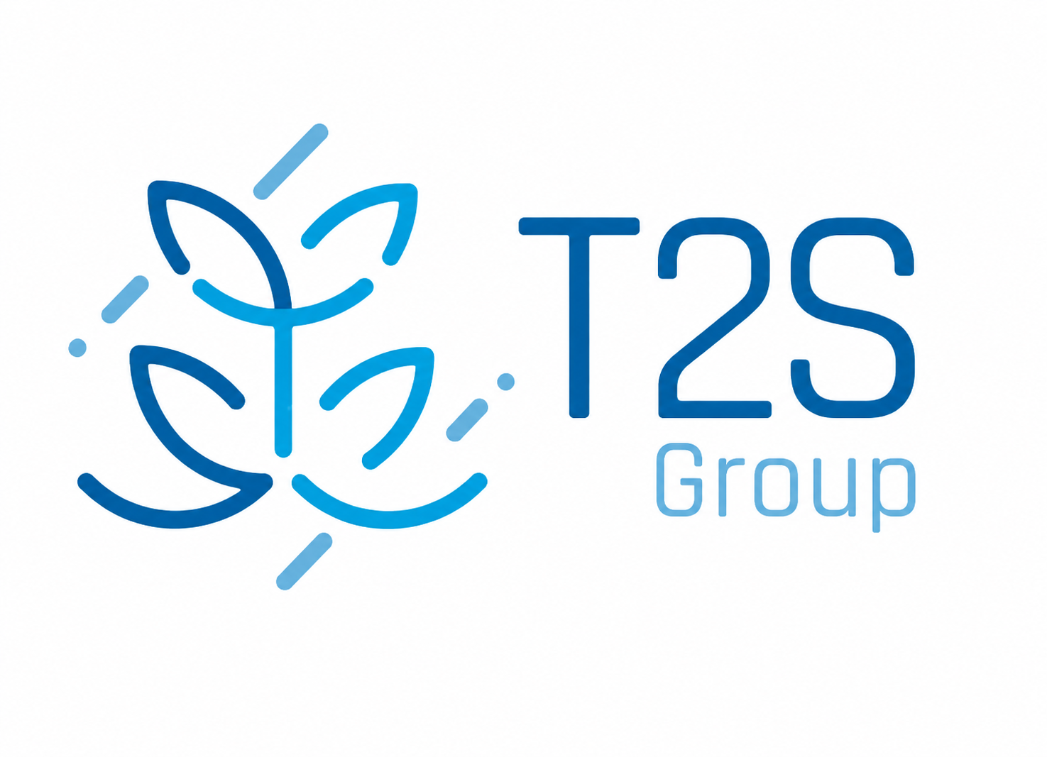 T2S Group